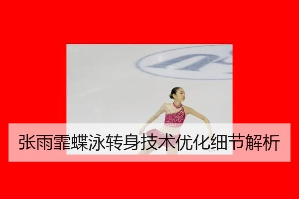 zhang-yu-fei-die-yong-zhuan-shen-ji-shu-you-hua-xi-jie-jie-xi-3-544.jpg