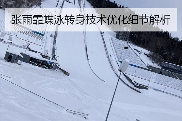 张雨霏蝶泳转身技术优化细节解析