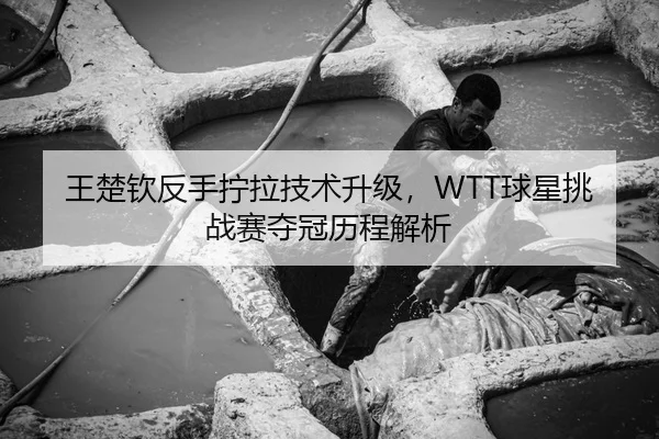 王楚钦反手拧拉技术升级，WTT球星挑战赛夺冠历程解析