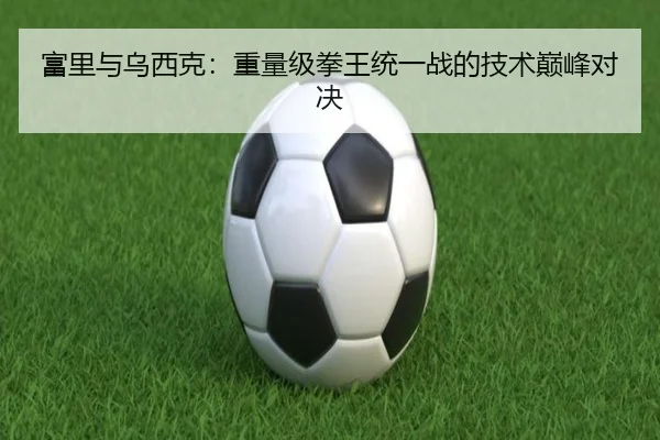 富里与乌西克：重量级拳王统一战的技术巅峰对决