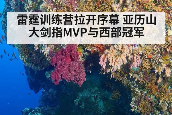 雷霆训练营拉开序幕 亚历山大剑指MVP与西部冠军