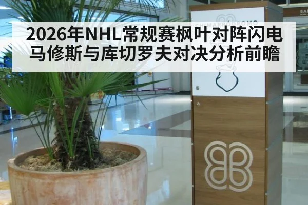 2026年NHL常规赛枫叶对阵闪电马修斯与库切罗夫对决分析前瞻